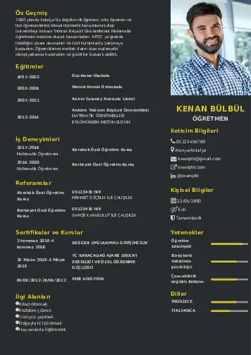 cv indir